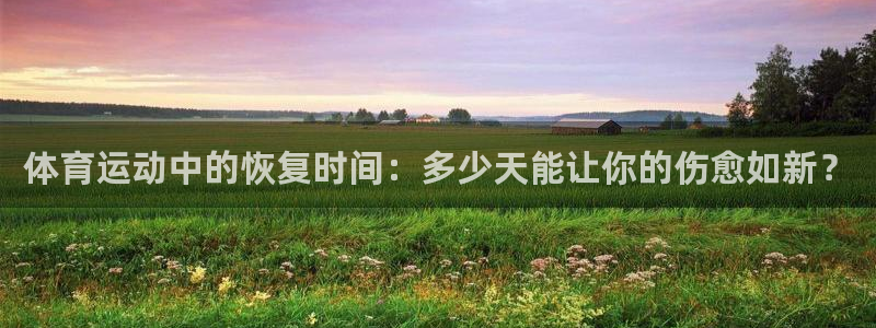 球王会体育