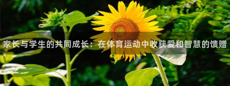 球王会体育