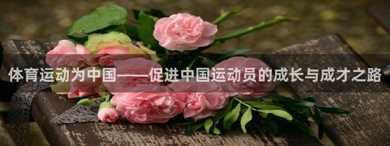 球王会体育