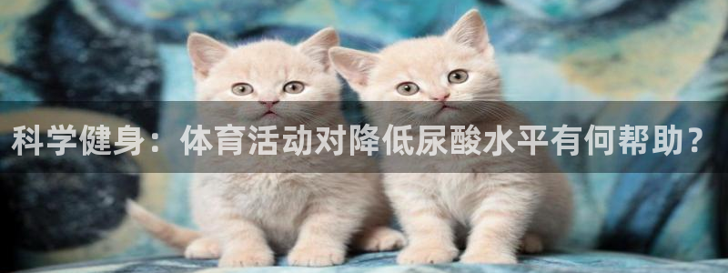 球王会体育