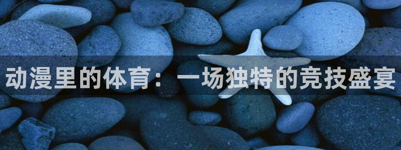 球王会体育