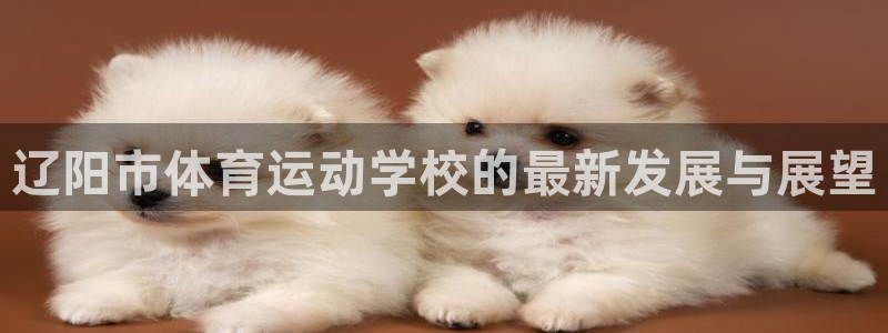 球王会体育