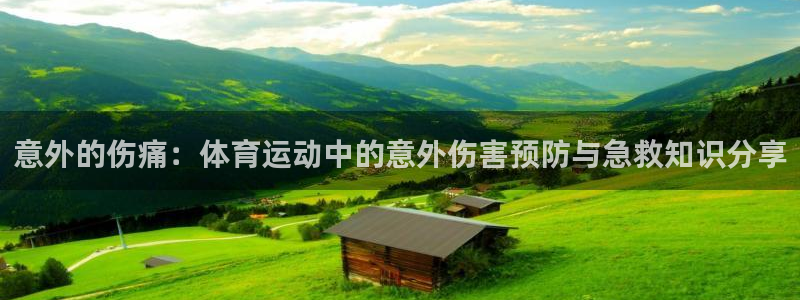 球王会体育