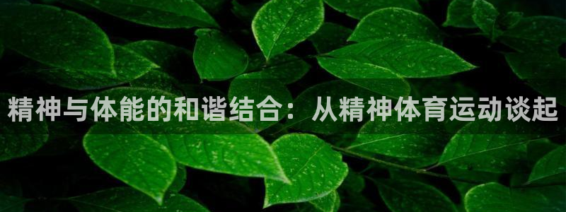 球王会体育