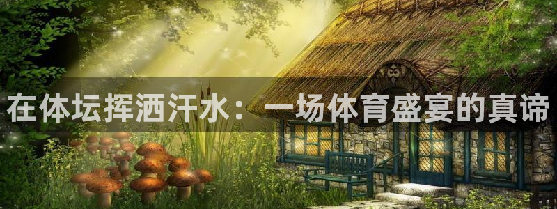 球王会体育